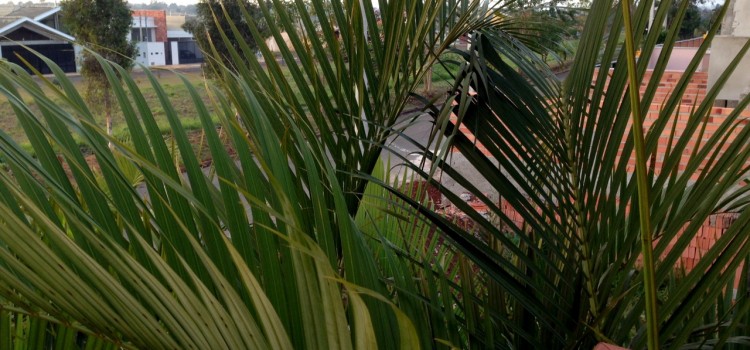 #2 – Itapetininga, unser „Zuhause“ in Brasilien #2 – Itapetininga, unser „Zuhause“ in Brasilien