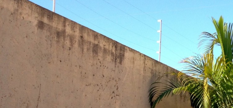 #11 – Ein Leben hinter Mauer und Elektrozaun #11 – Ein Leben hinter Mauer und Elektrozaun