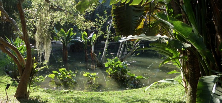 #14 – Must-See in Rio: Jardim Botânico #14 – Must-See in Rio: Jardim Botânico