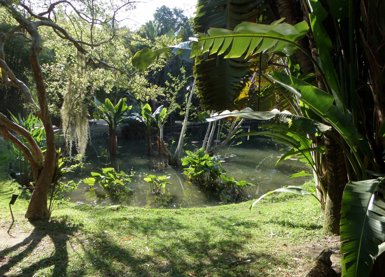 14 MustSee in Rio Jardim Botânico
