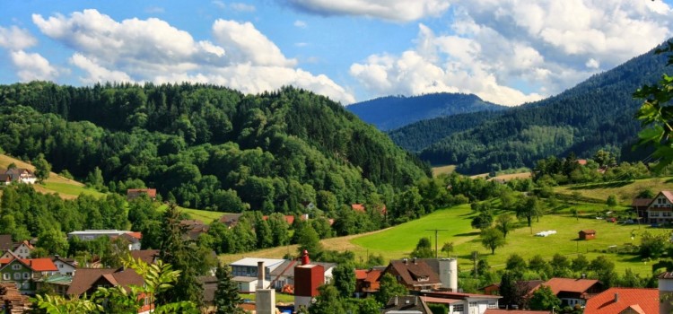 Erster Halt: Schwarzwald Erster Halt: Schwarzwald
